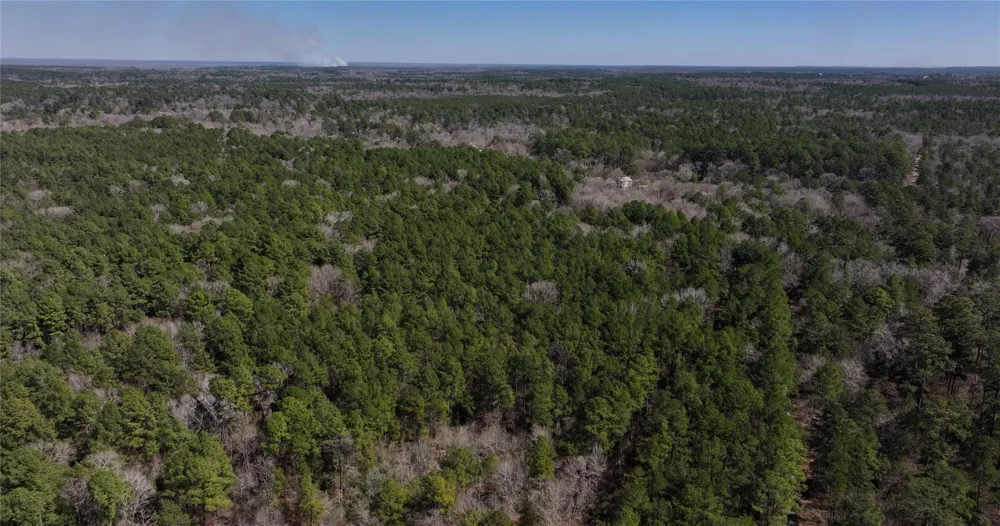 Lake Falls Road Huntsville, TX 77320