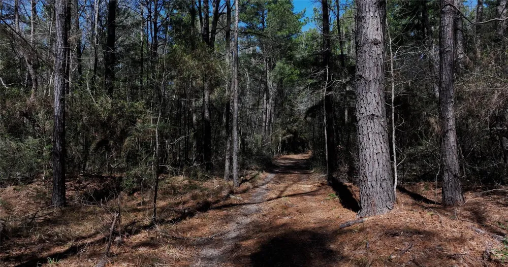 Lake Falls Road Huntsville, TX 77320