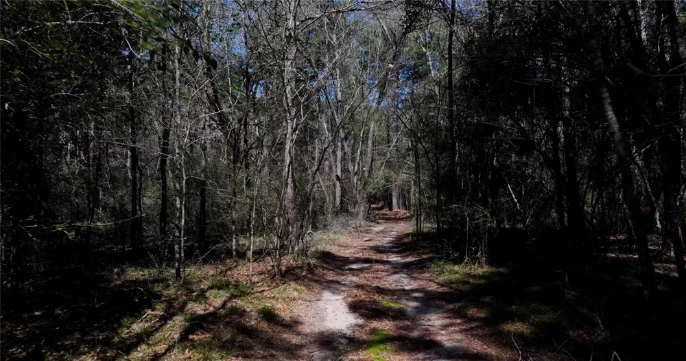 Lake Falls Road Huntsville, TX 77320
