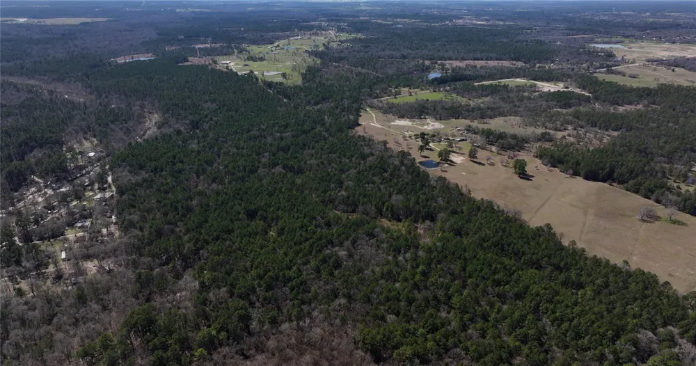 Lake Falls Road Huntsville, TX 77320