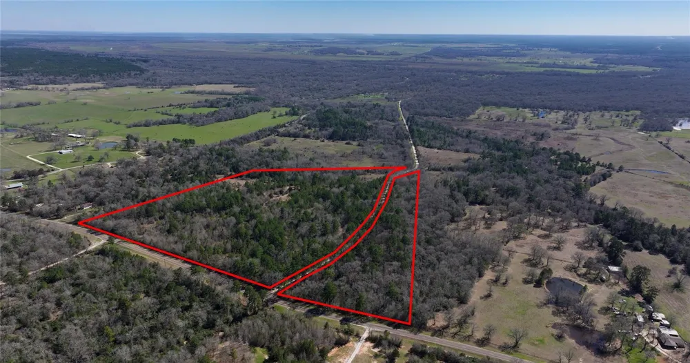Palmetto Road Trinity, TX 75862