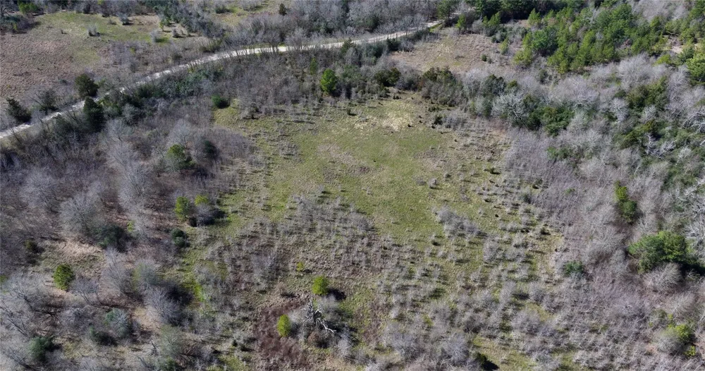 Palmetto Road Trinity, TX 75862