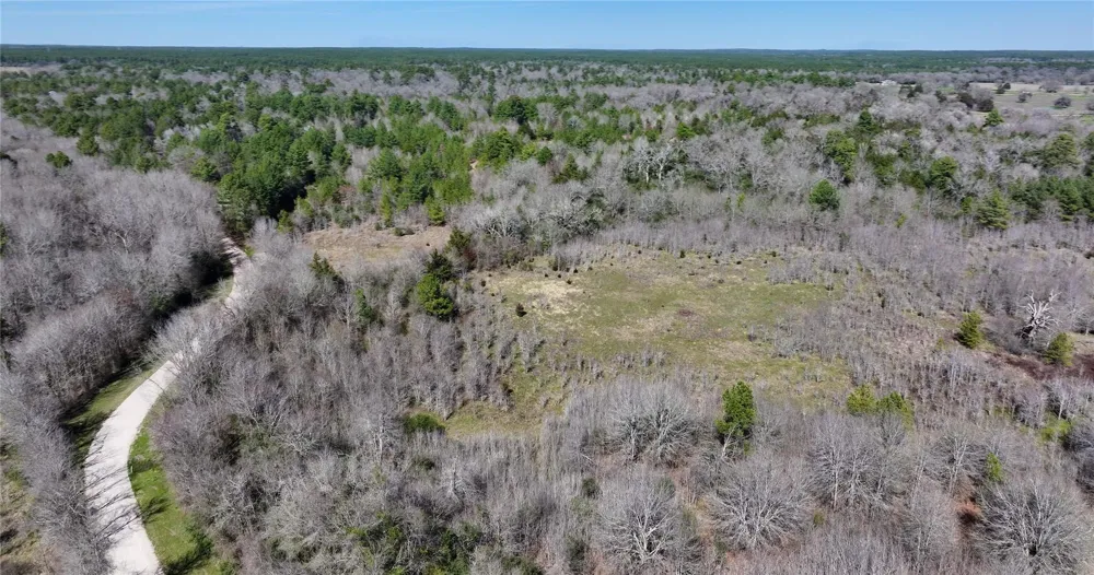 Palmetto Road Trinity, TX 75862
