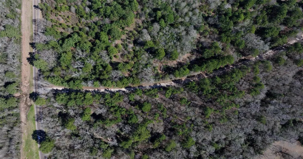 Palmetto Road Trinity, TX 75862