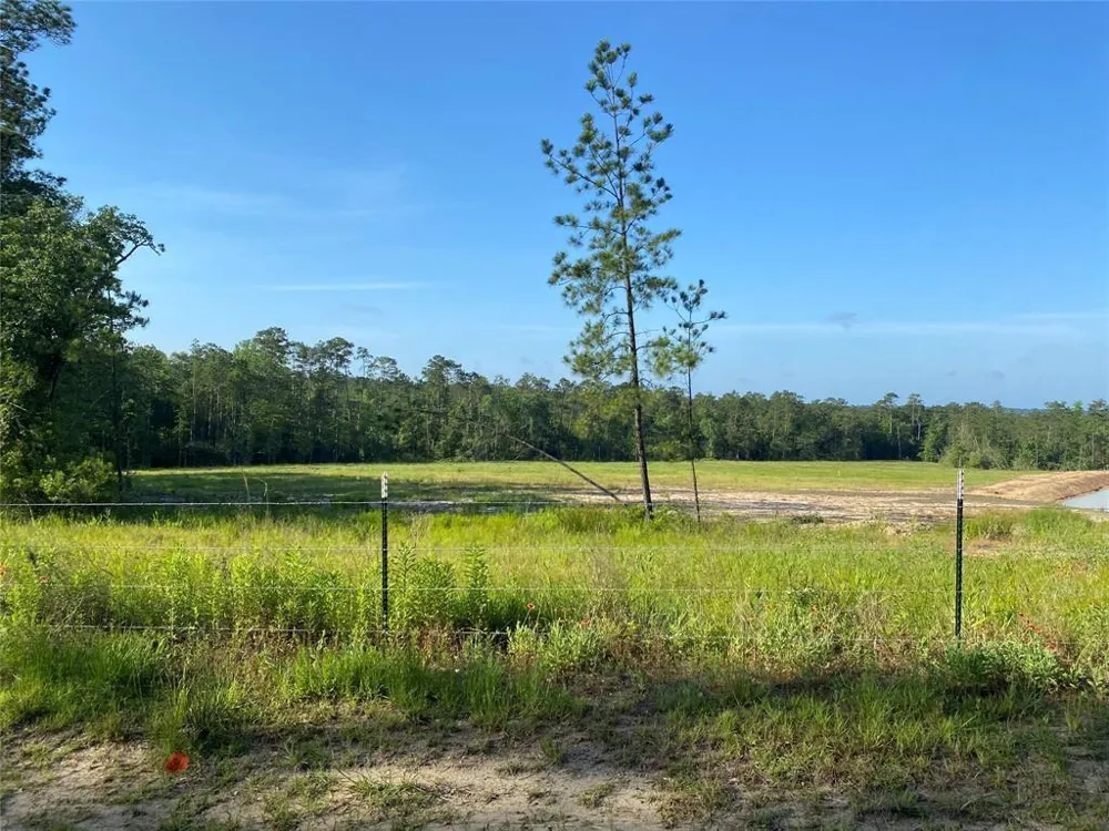 Cr 3000 Doucette, TX 75942