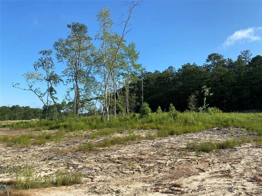 Cr 3000 Doucette, TX 75942