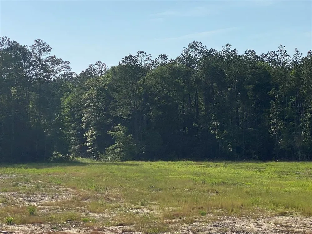 Cr 3000 Doucette, TX 75942