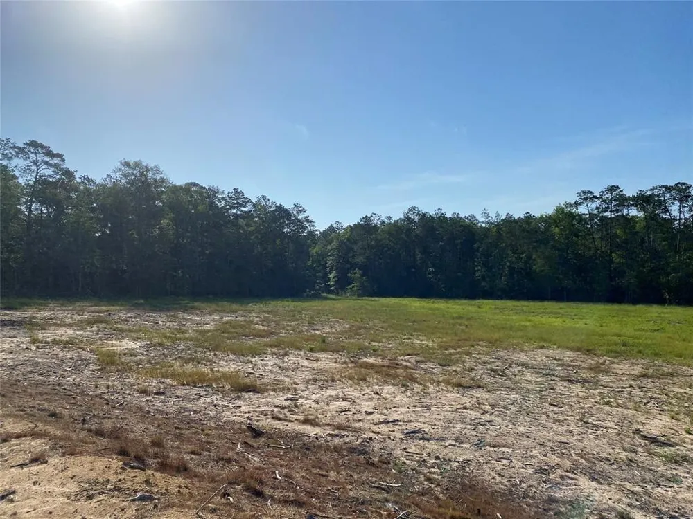 Cr 3000 Doucette, TX 75942