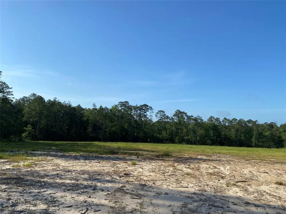 Cr 3000 Doucette, TX 75942