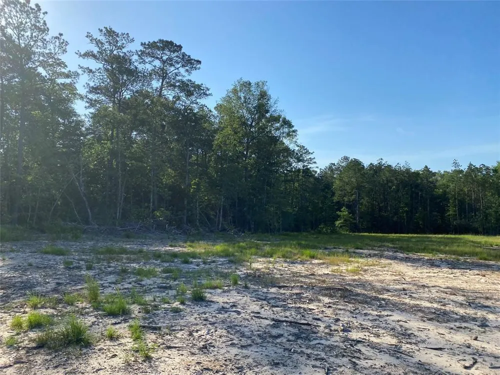 Cr 3000 Doucette, TX 75942