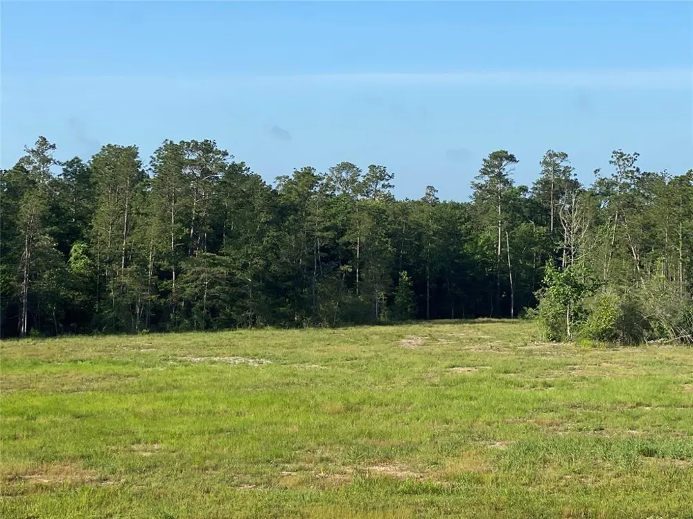 Cr 3000 Doucette, TX 75942