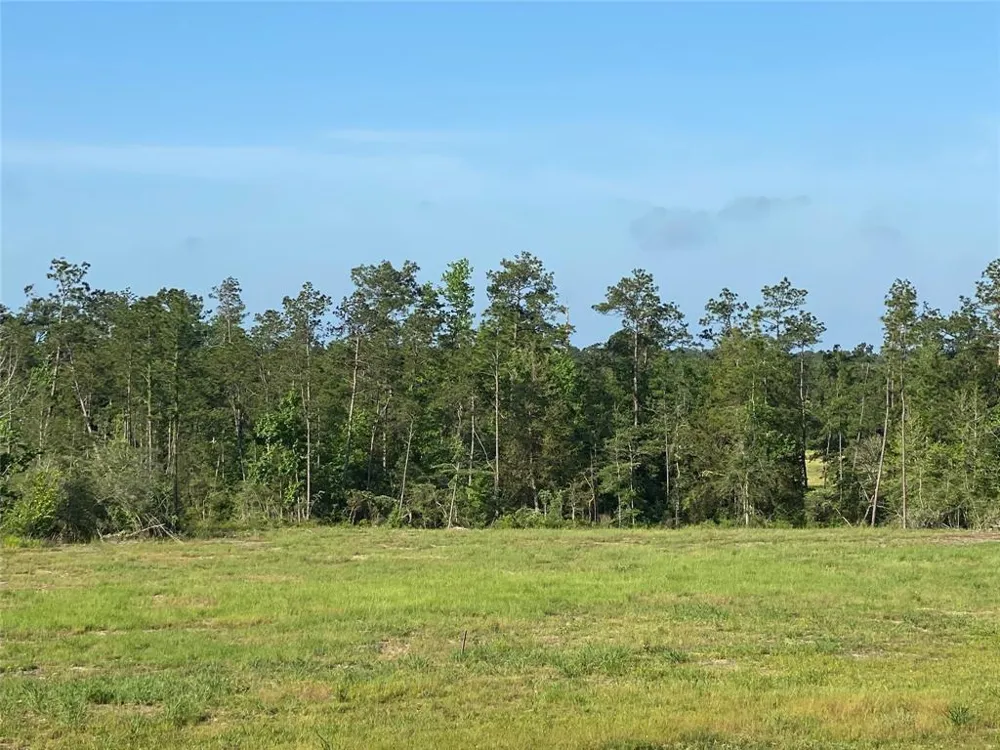 Cr 3000 Doucette, TX 75942