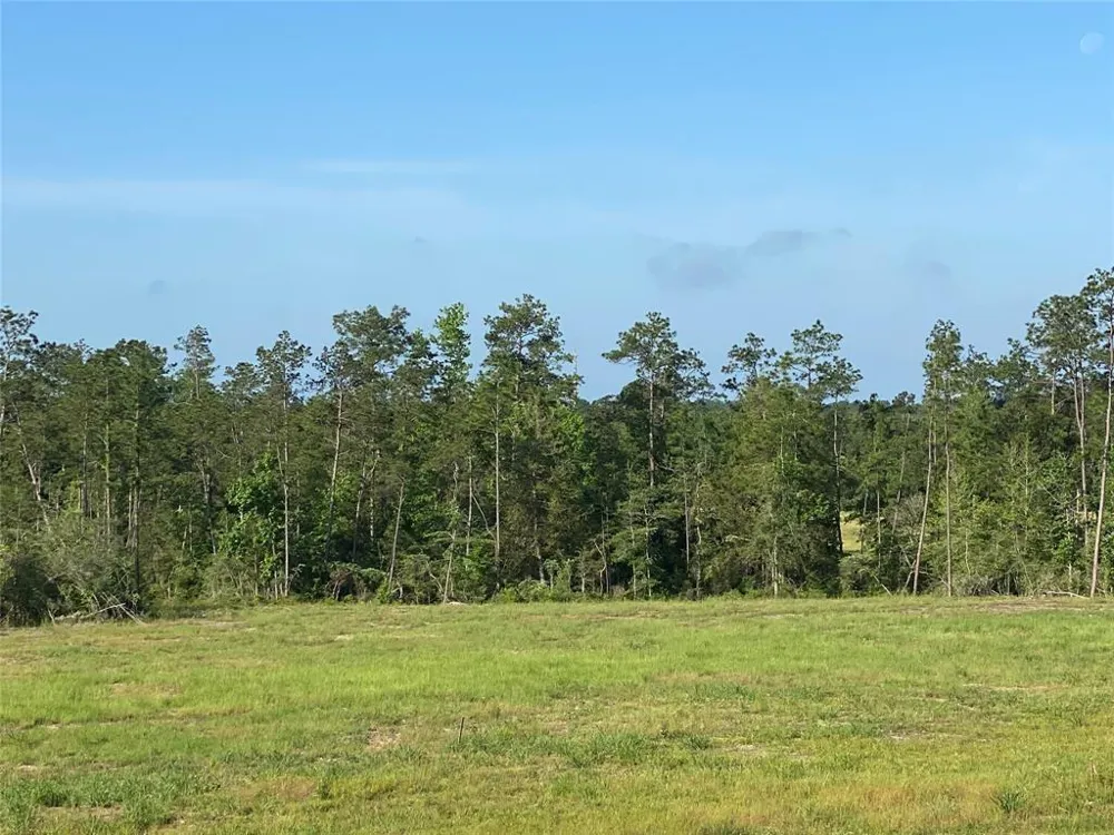 Cr 3000 Doucette, TX 75942
