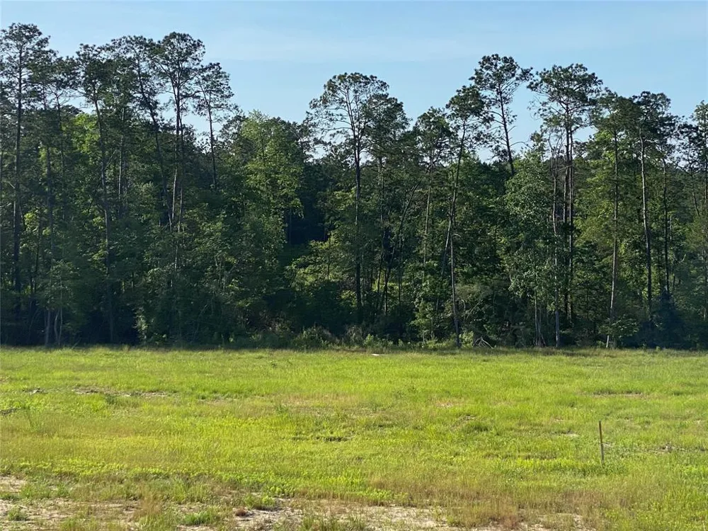 Cr 3000 Doucette, TX 75942