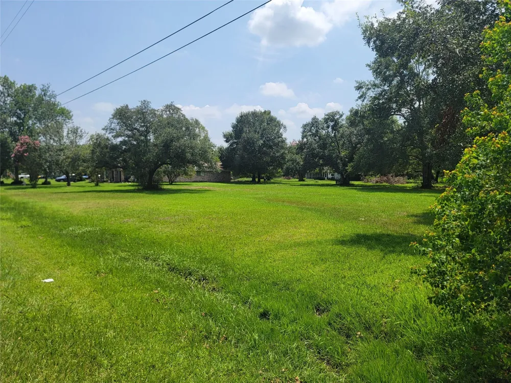 9521 Acorn Drive Manvel, TX 77578
