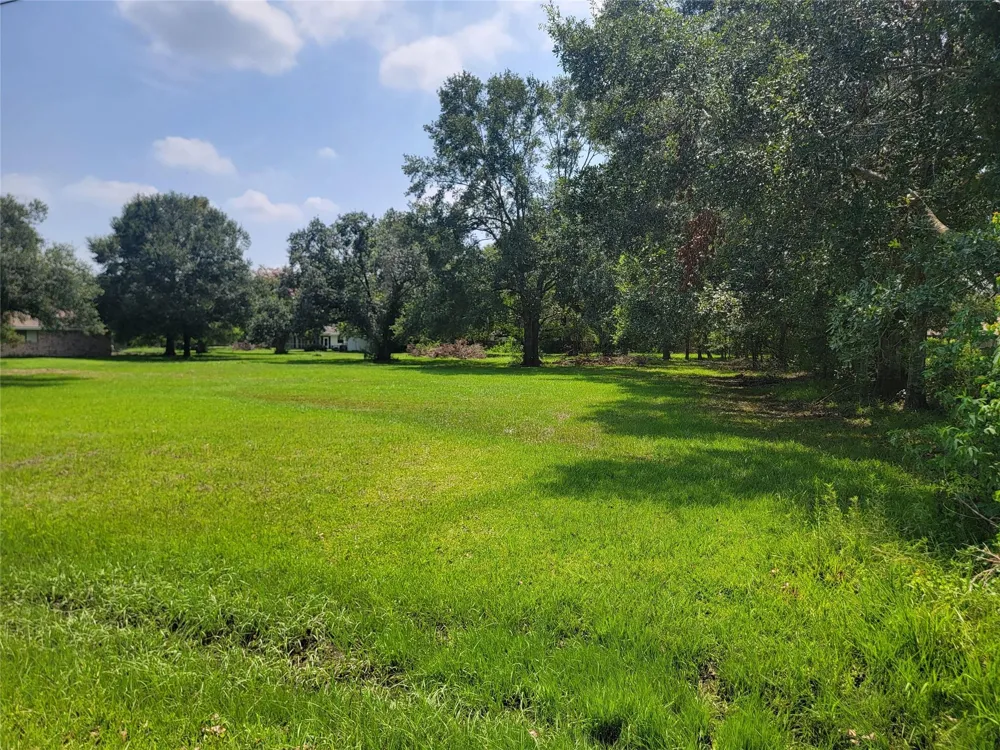 9521 Acorn Drive Manvel, TX 77578