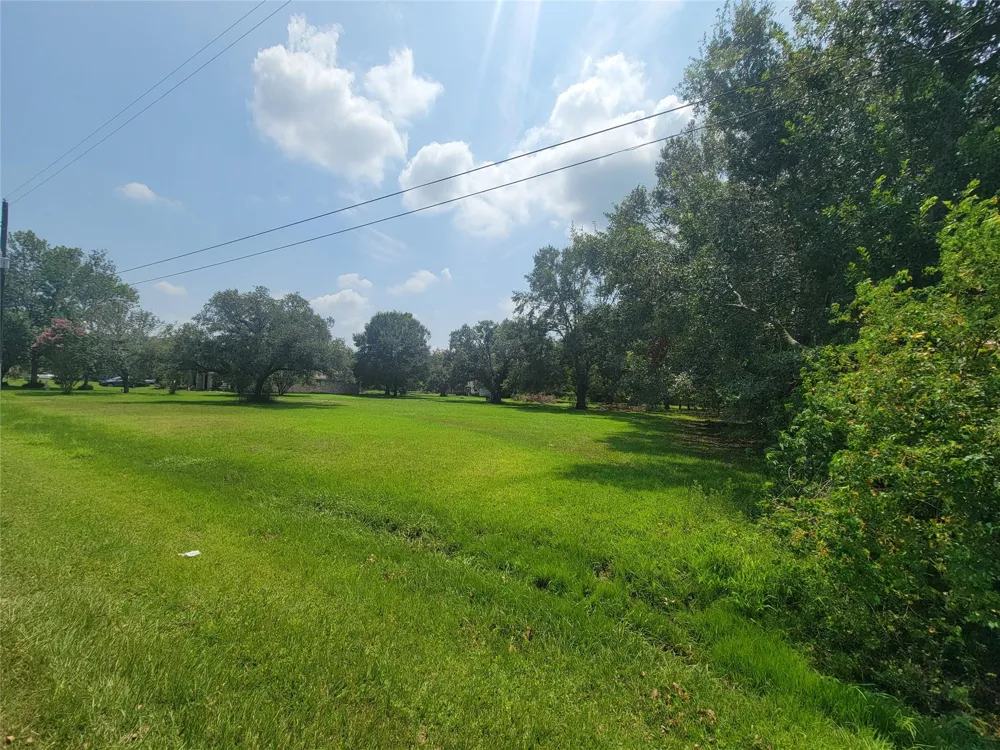 9521 Acorn Drive Manvel, TX 77578