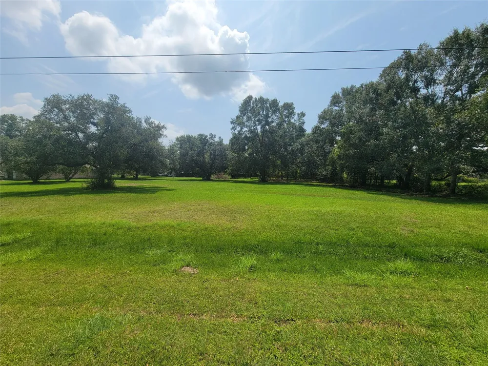 9521 Acorn Drive Manvel, TX 77578