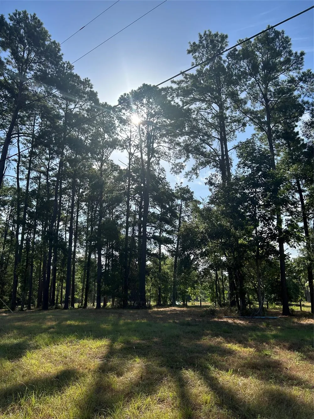 36373839 Rob Livingston, TX 77351