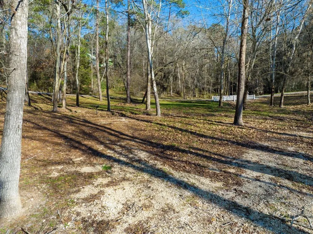 36373839 Rob Livingston, TX 77351