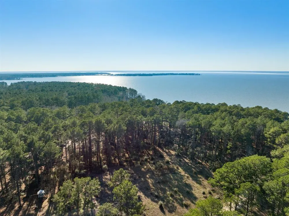 36373839 Rob Livingston, TX 77351