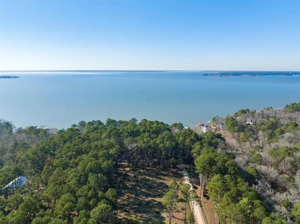 36373839 Rob Livingston, TX 77351