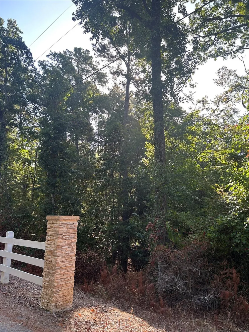 36373839 Rob Livingston, TX 77351