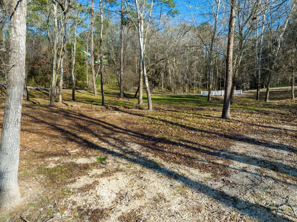 1920 Caldwell Street Livingston, TX 77351