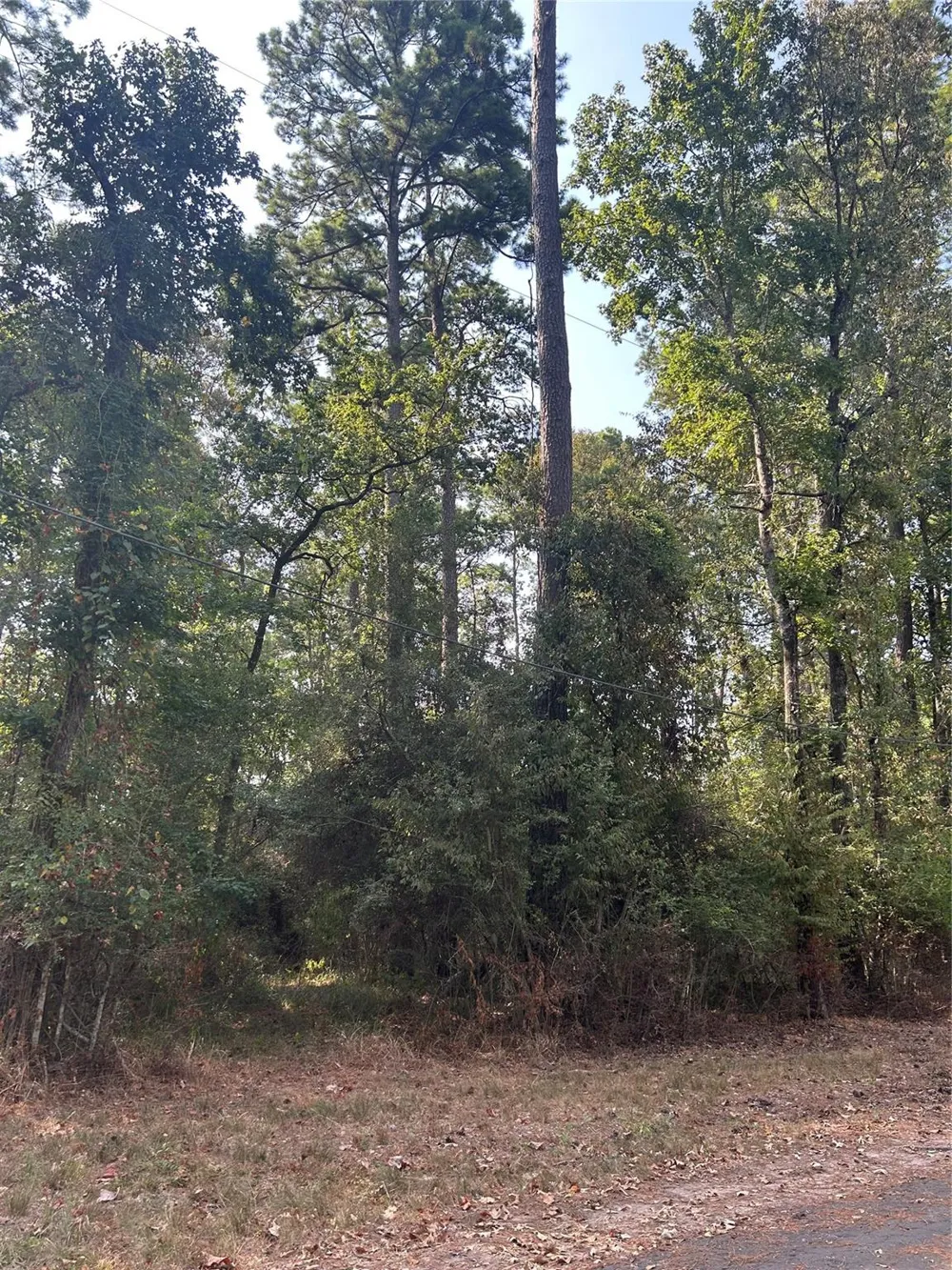 1920 Caldwell Street Livingston, TX 77351