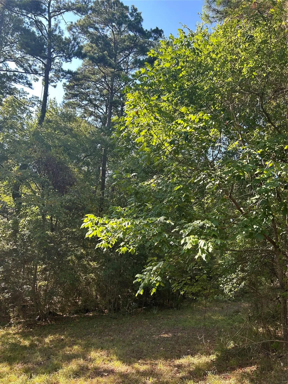 1327 Joanna Hill Livingston, TX 77351