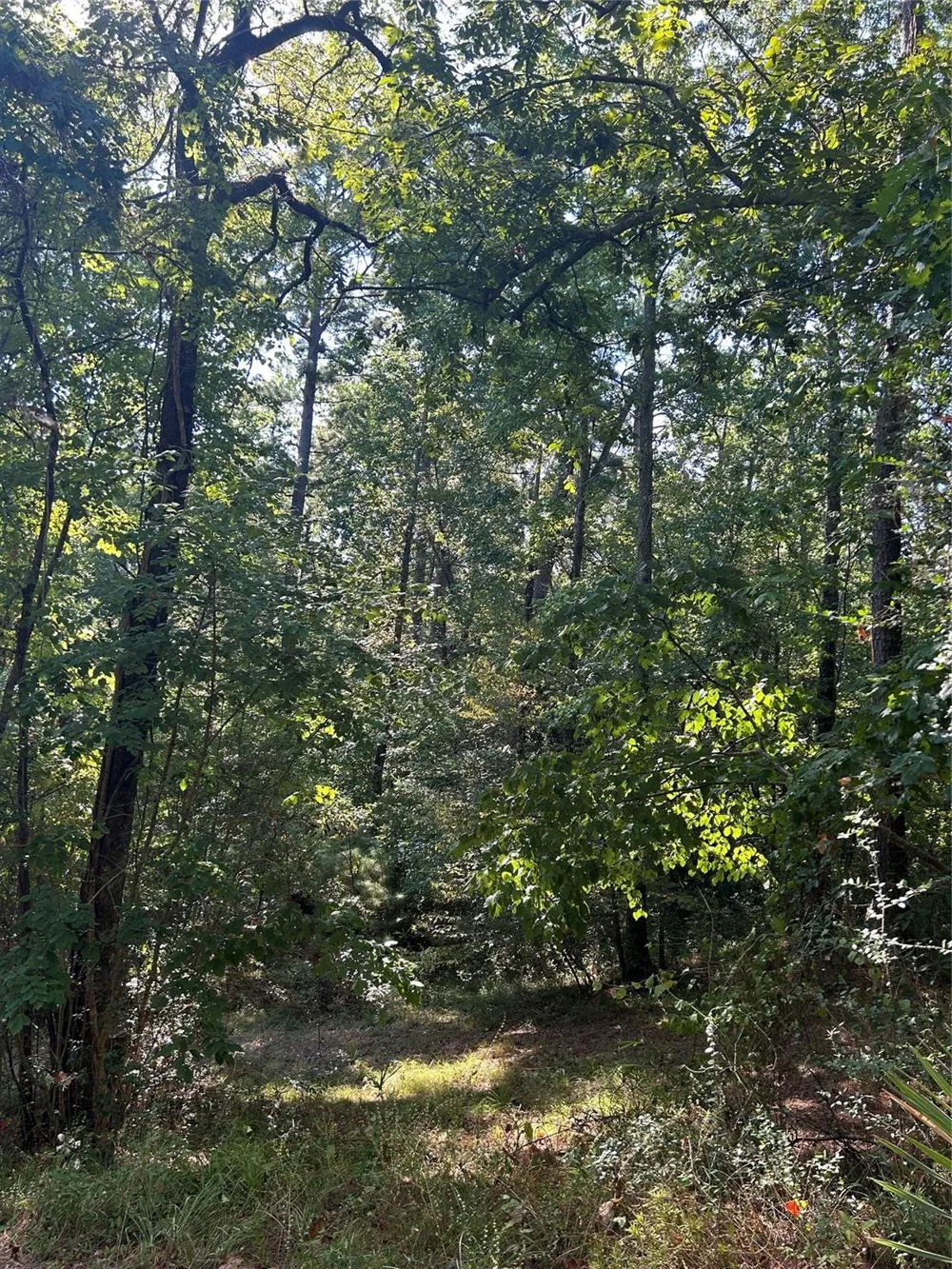 1327 Joanna Hill Livingston, TX 77351