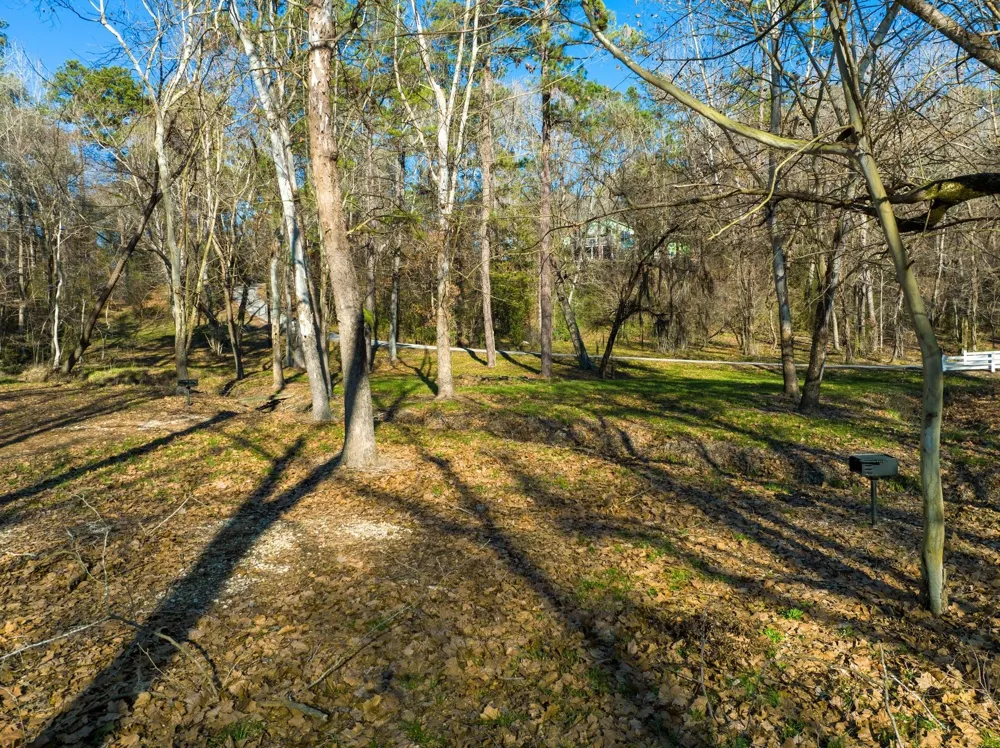 Joanna Hill Livingston, TX 77351