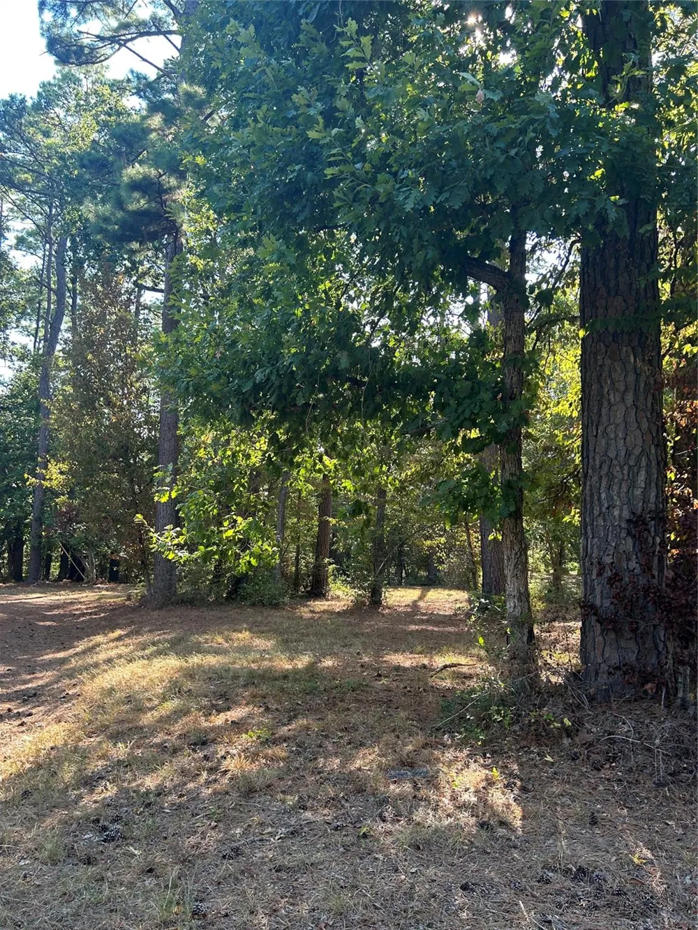 Weepee Drive Livingston, TX 77351