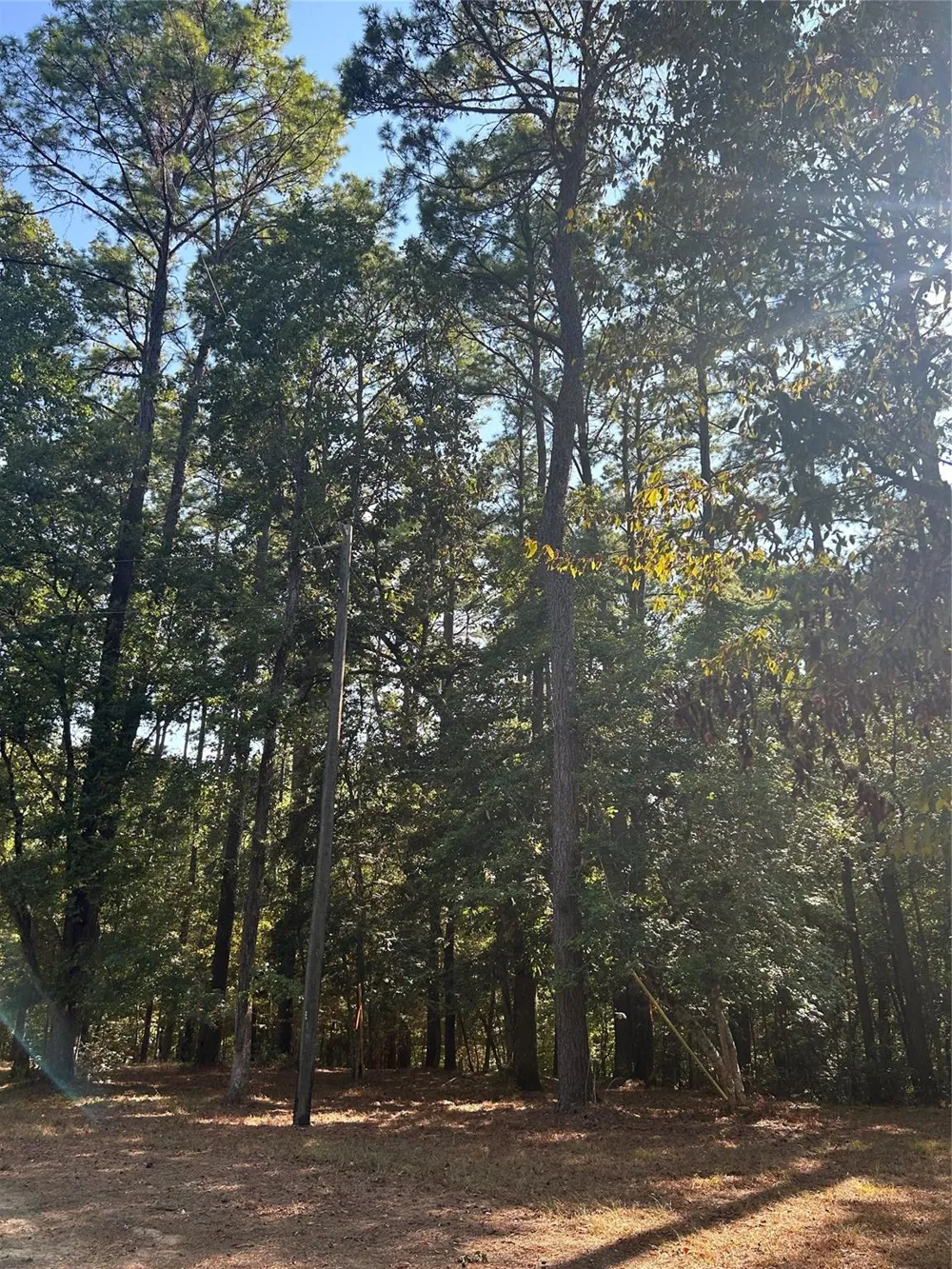 Weepee Drive Livingston, TX 77351
