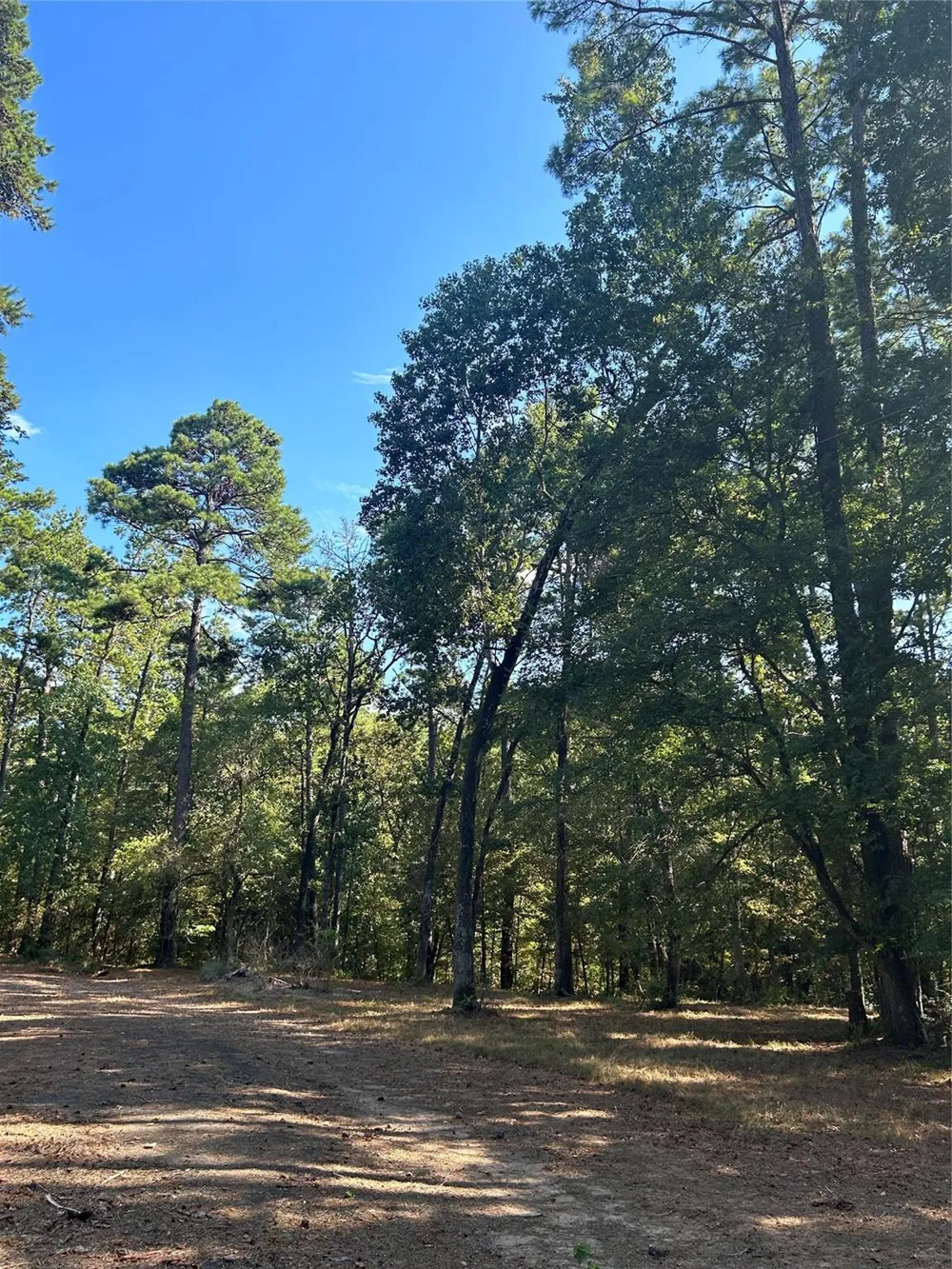 Weepee Drive Livingston, TX 77351