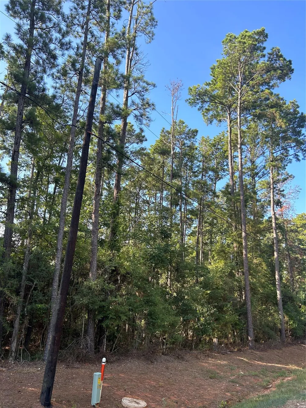 434445 Rob Livingston, TX 77351