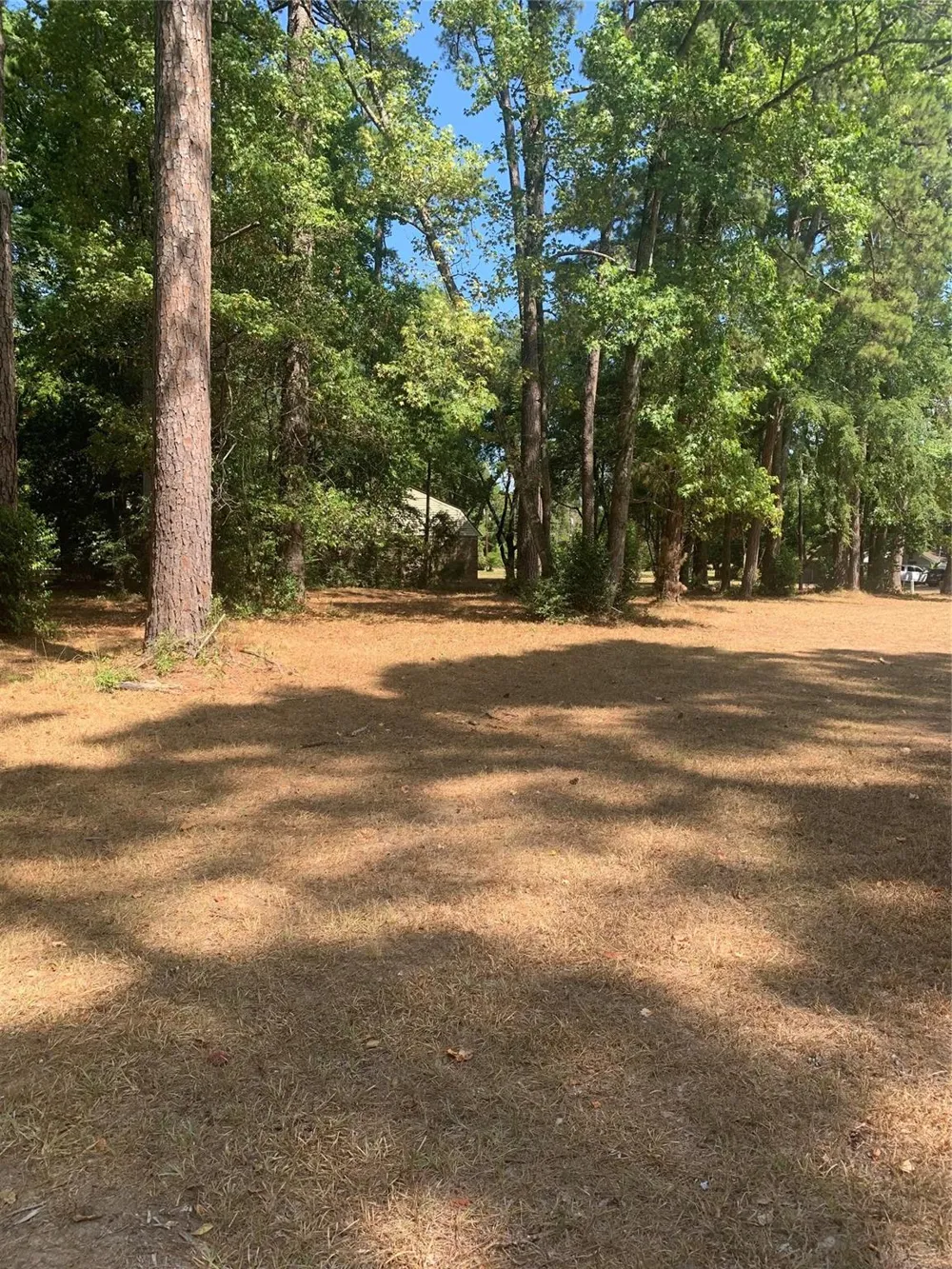 1314 Chain Road Livingston, TX 77351