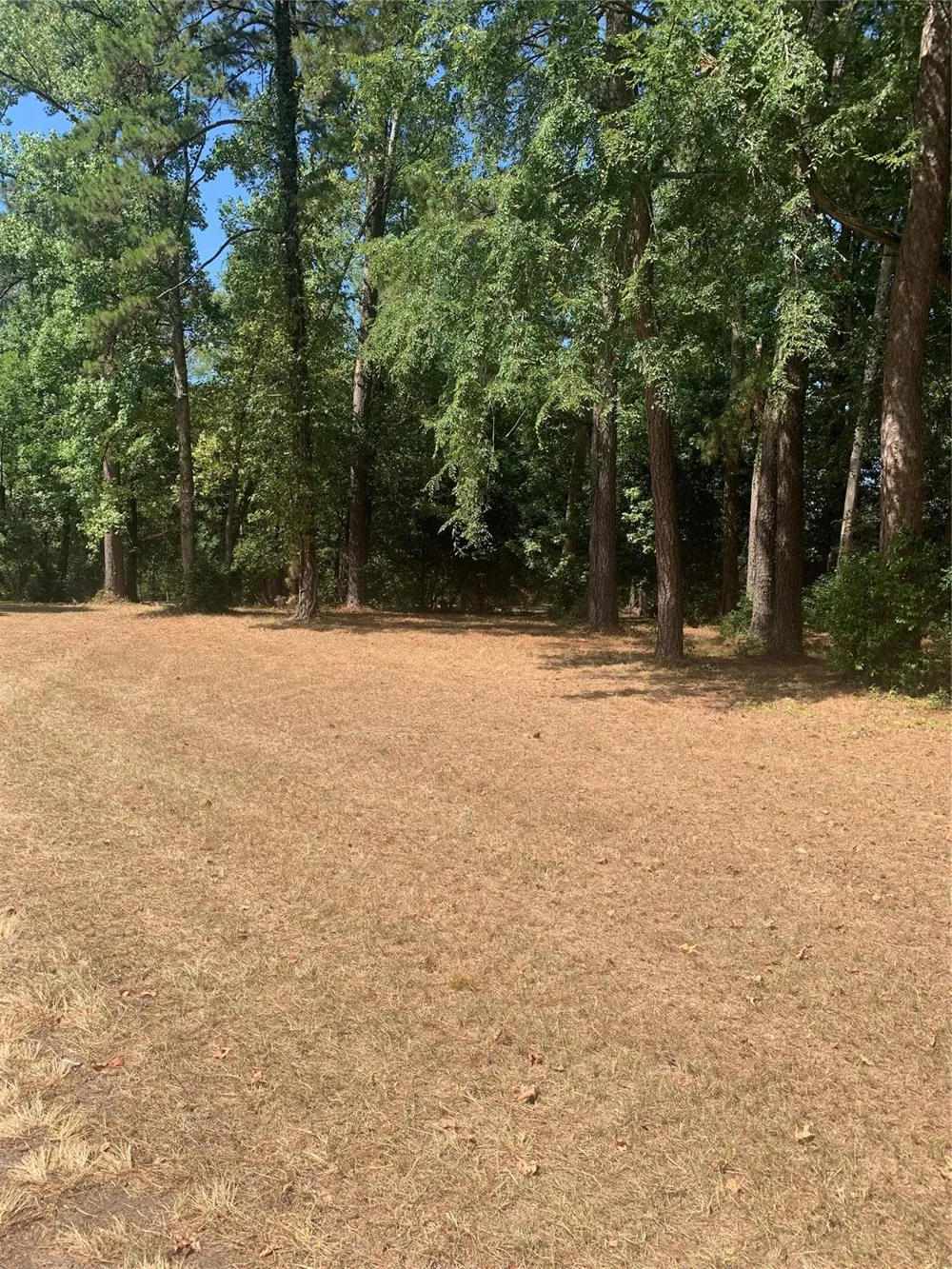 1314 Chain Road Livingston, TX 77351