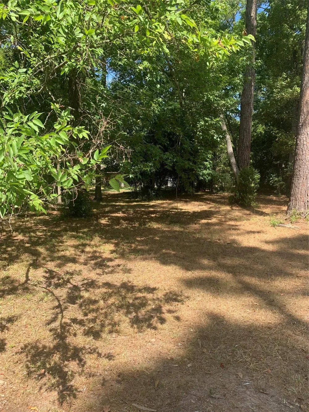 1314 Chain Road Livingston, TX 77351