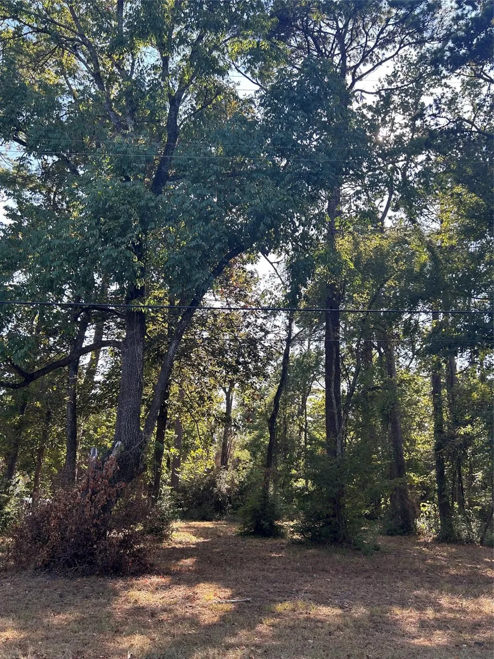 151617 Chain Rd Road Livingston, TX 77351