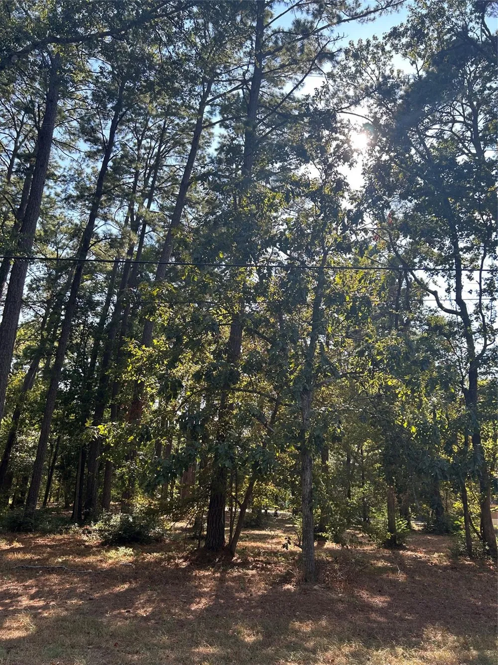 151617 Chain Rd Road Livingston, TX 77351