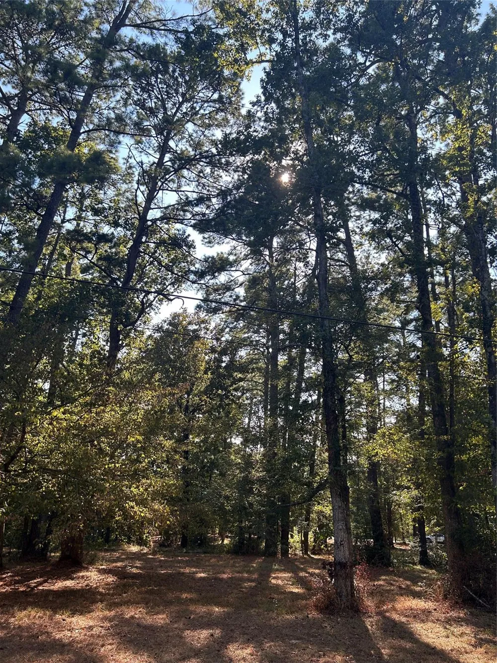 151617 Chain Rd Road Livingston, TX 77351