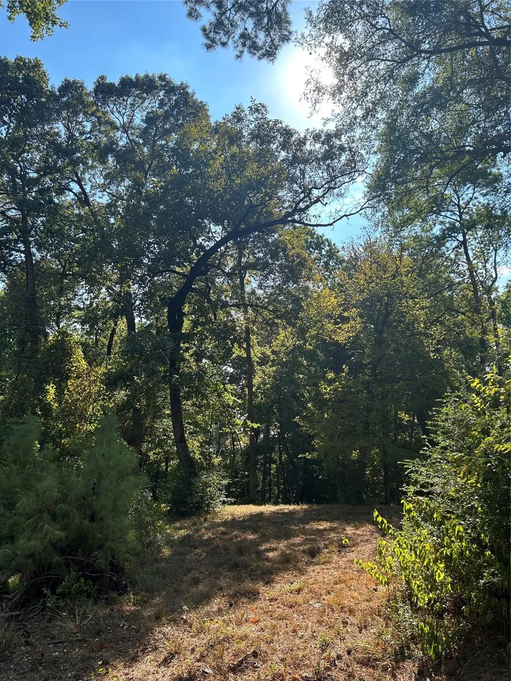 Tiki Trail Livingston, TX 77351