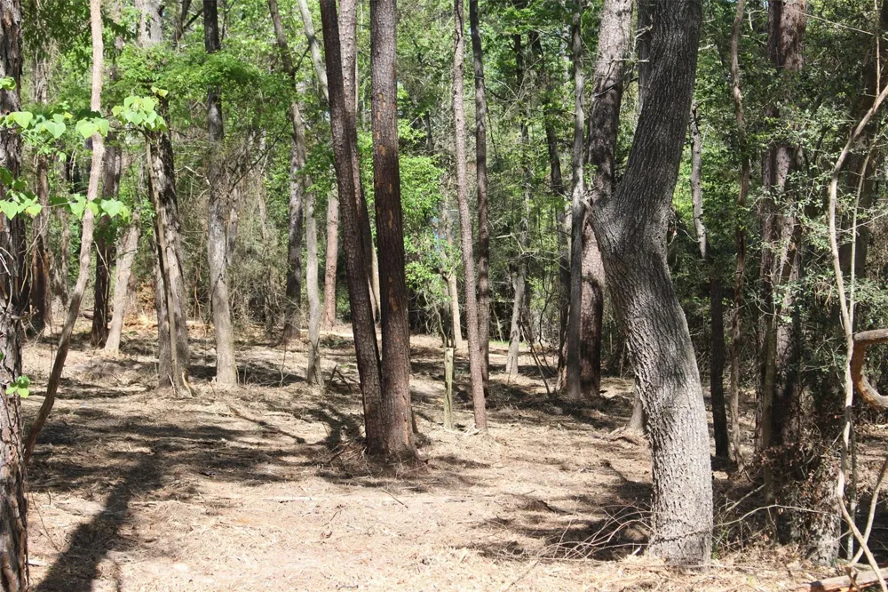 145 Crossed Arrows Grapeland, TX 75844