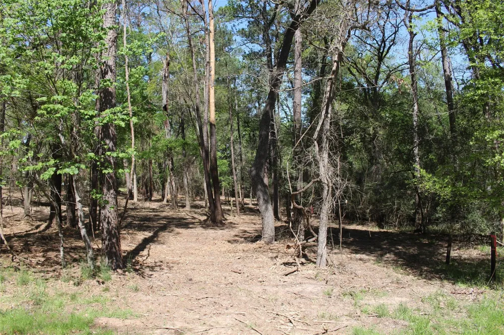 145 Crossed Arrows Grapeland, TX 75844