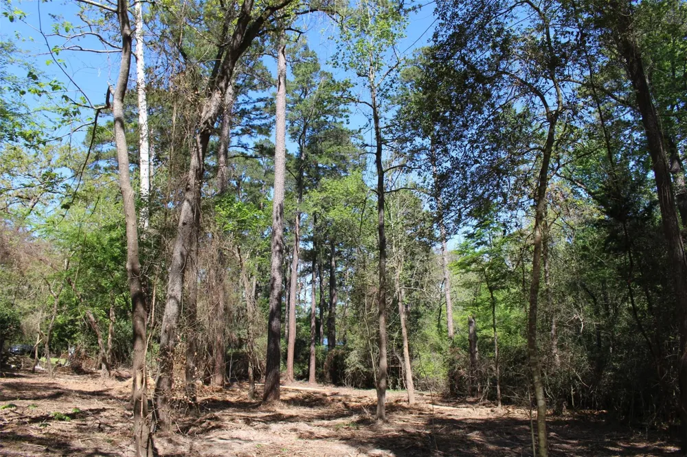 145 Crossed Arrows Grapeland, TX 75844
