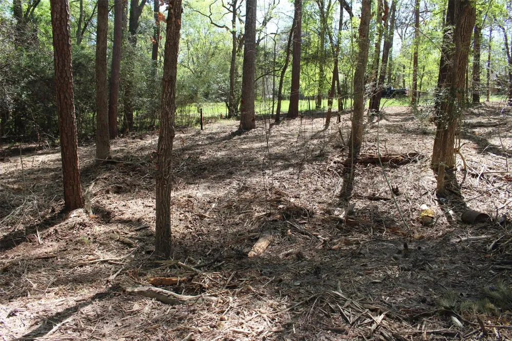145 Crossed Arrows Grapeland, TX 75844