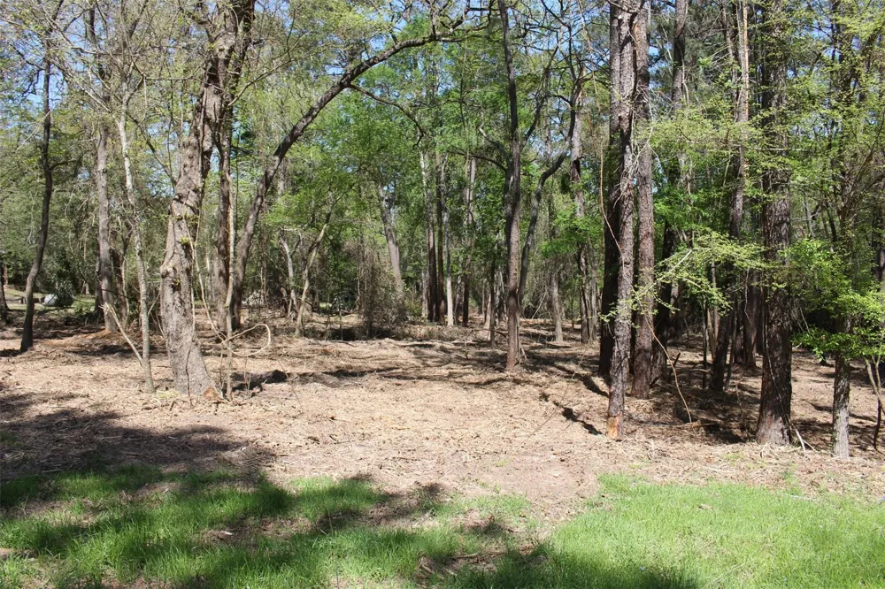 145 Crossed Arrows Grapeland, TX 75844