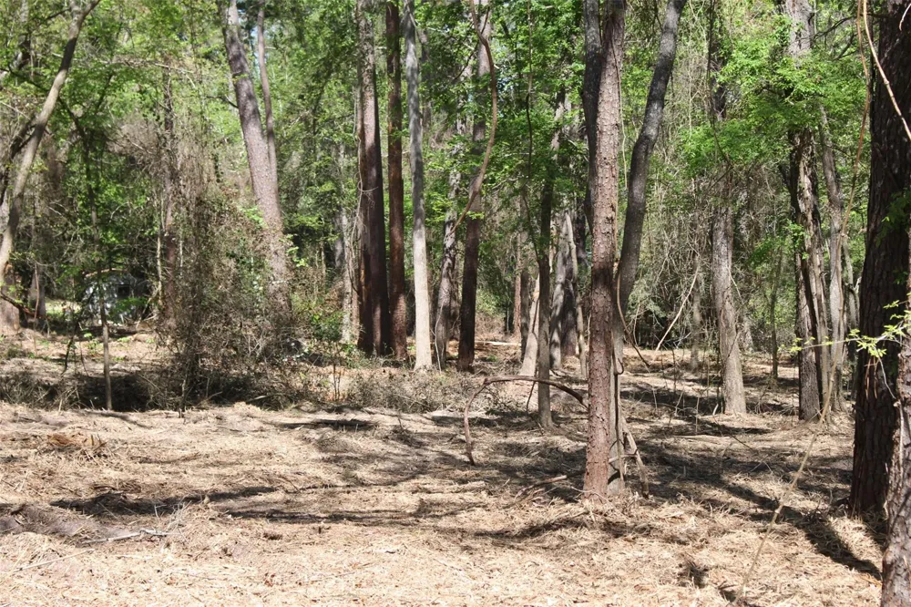 145 Crossed Arrows Grapeland, TX 75844
