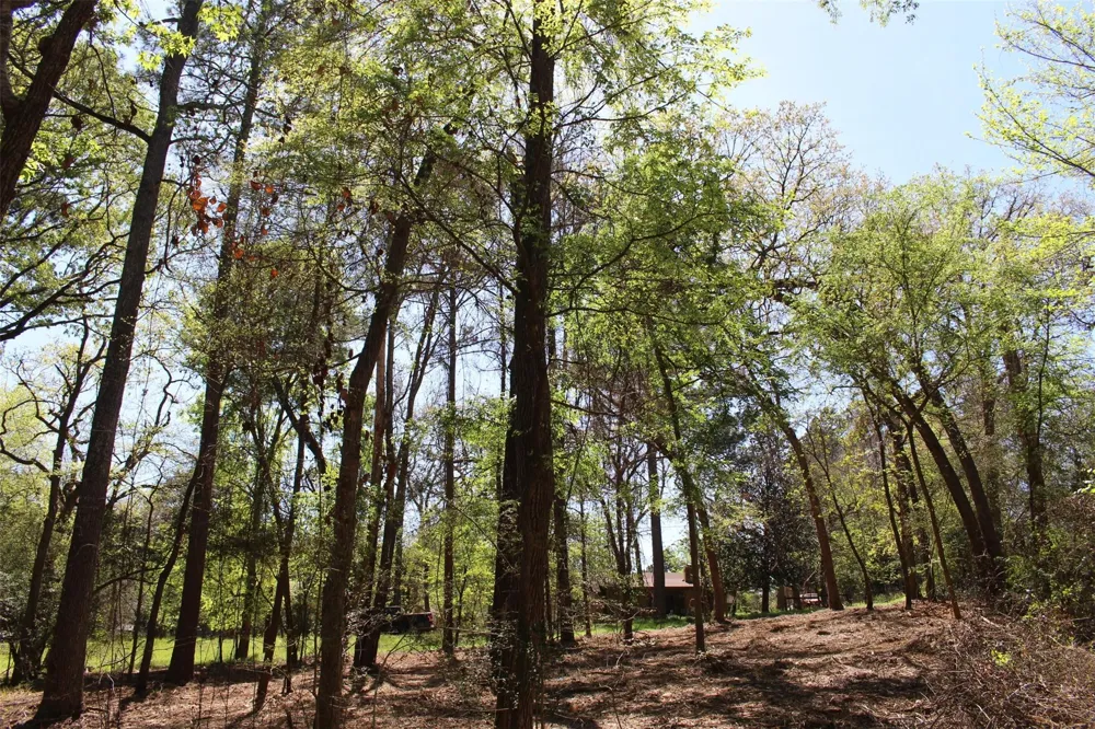 145 Crossed Arrows Grapeland, TX 75844